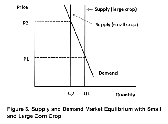 figure_3.jpg