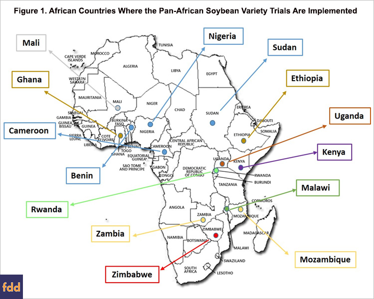 The State of Soybean in Africa: Soybean Varieties in Sub-Saharan Africa ...