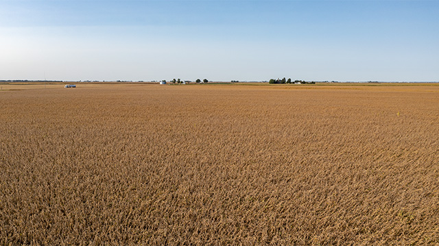 webinarFarmland