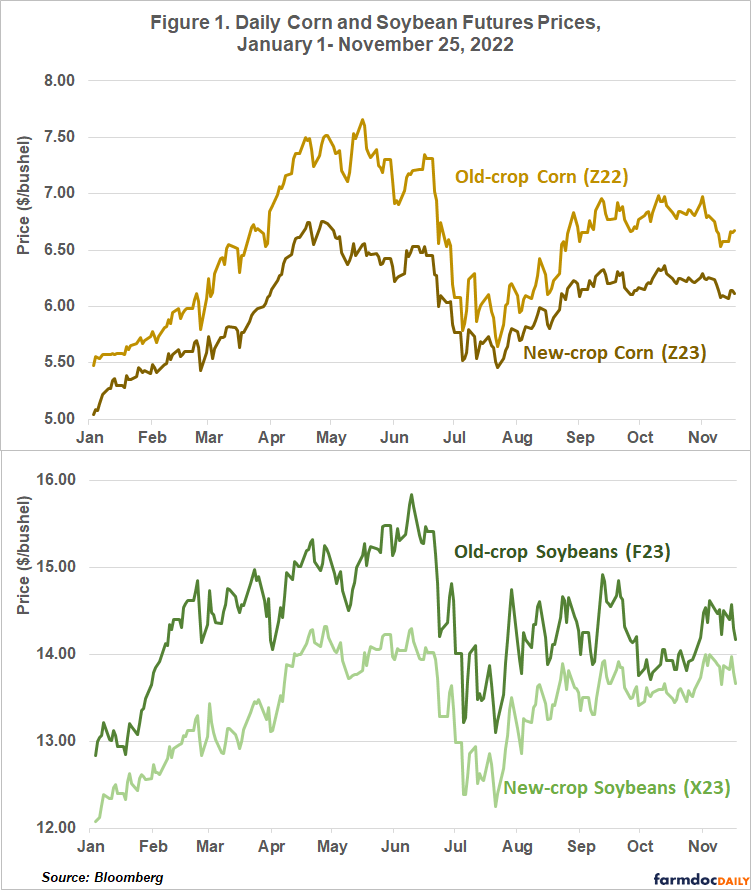 Tempered Expectations for 2022/23 Supply and Demand for Corn and