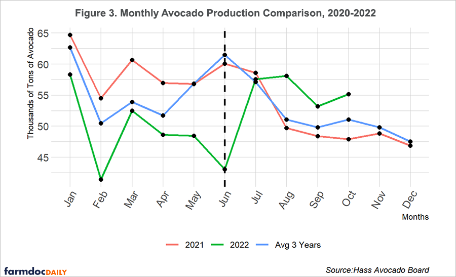 Avocado Surplus Leads to Lowest Prices in 5 Years