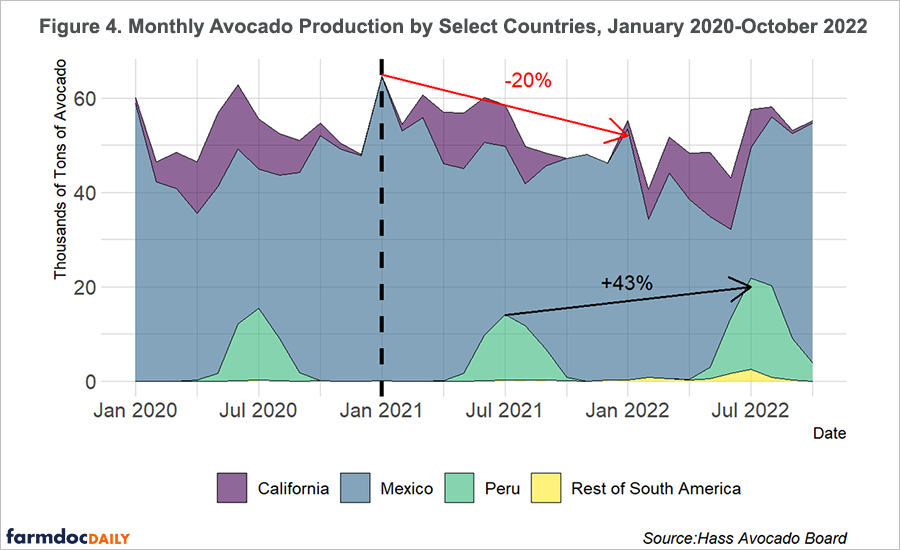 Avocado Surplus Leads to Lowest Prices in 5 Years