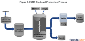 Biodiesel and Renewable Diesel: What’s the Difference? - farmdoc daily