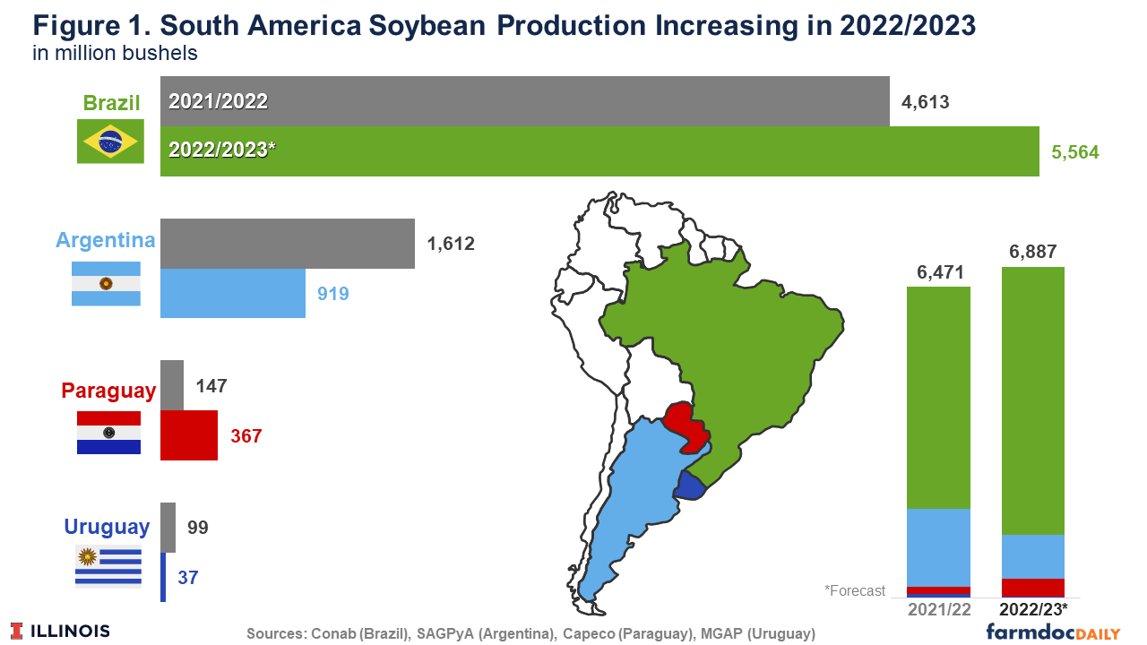 Record In Brazil Drop In Argentina Contrasting Soybean Harvests In 