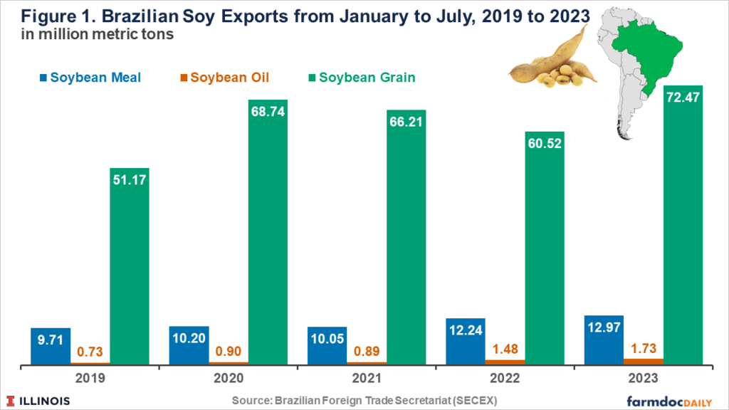 Brazil Breaks Soybean Export Record and Displaces Argentina in the Global Soybean Meal Market