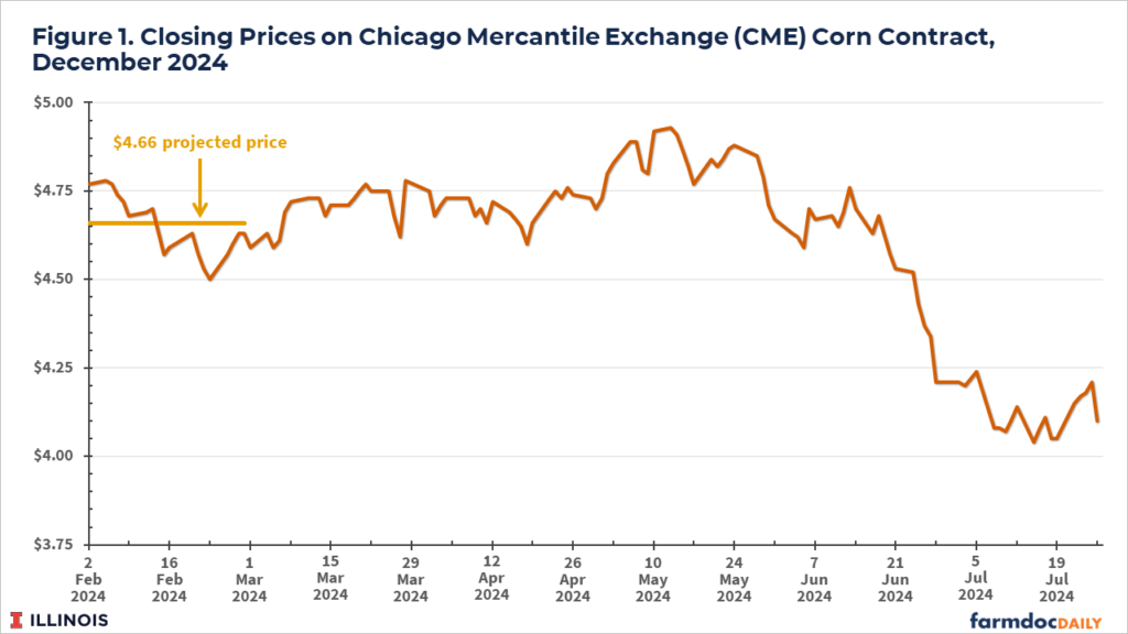 Increasing Pessimism About 2024 and 2025 Corn and Soybean Returns ...
