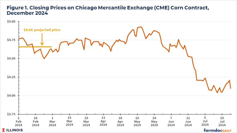 Increasing Pessimism About 2024 and 2025 Corn and Soybean Returns ...