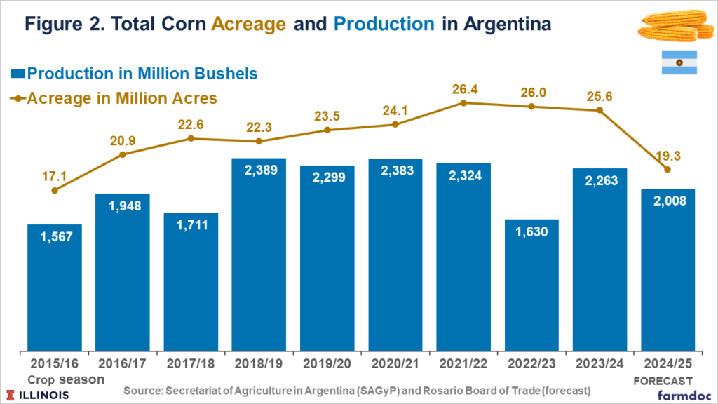Corn Acreage in South America: Stable in Brazil, Sharp Decline in ...