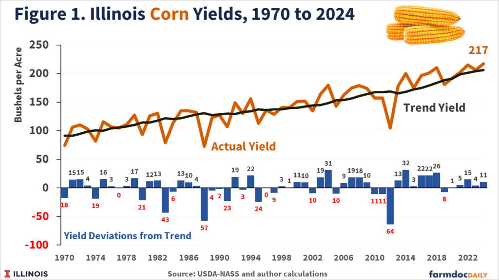 2024 Corn and Soybean Yields - farmdoc daily