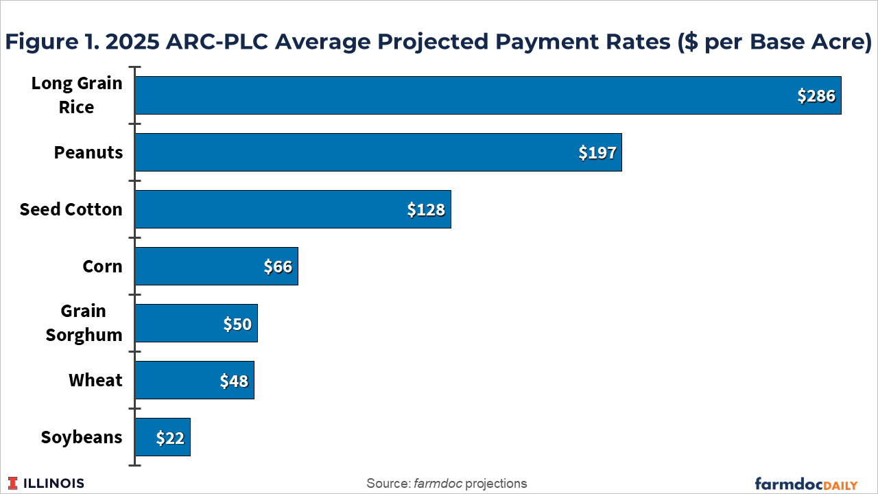 Horizontal bar chart showing 2025 ARC-PLC average projected payment rates in dollars per base acre. Long grain rice has the highest rate at $286, followed by peanuts at $197, seed cotton at $128, corn at $66, grain sorghum at $50, wheat at $48, and soybeans with the lowest rate at $22.