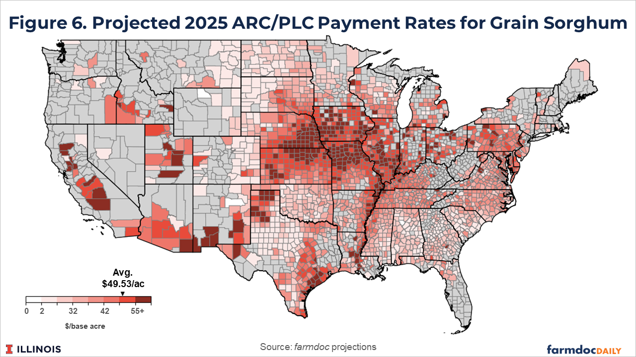 County-level heat map of the United States showing projected 2025 ARC/PLC payment rates for grain sorghum. The map uses a red-orange gradient from $0 to $55+ per base acre, with an average of $49.53 per acre. Darker shades indicating higher payment rates are concentrated in Kansas, parts of Texas, the Great Plains, and scattered areas in the South and Northeast.
