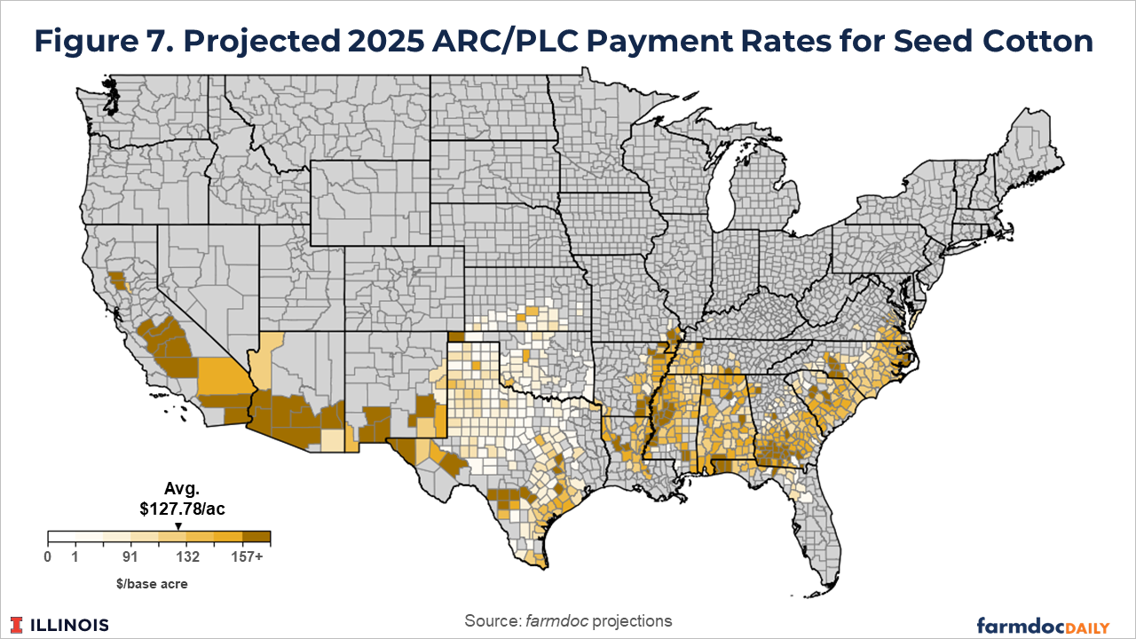 County-level heat map of the United States showing projected 2025 ARC/PLC payment rates for seed cotton. The map uses a gold-yellow gradient from $0 to $157+ per base acre, with an average of $127.78 per acre. Darker gold shades indicating higher payment rates are concentrated in the traditional cotton belt including parts of California, Arizona, Texas, Georgia, Alabama, and the Carolinas. Most of the country shows gray indicating no seed cotton base acres.