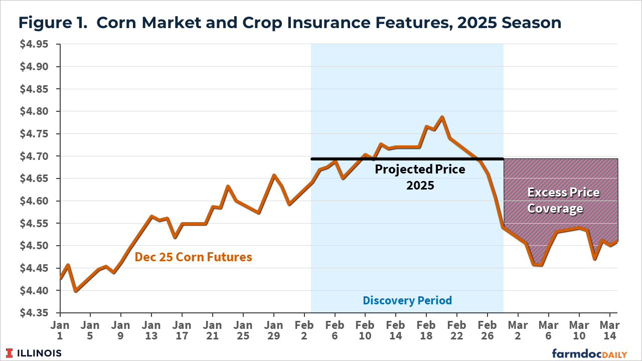 Line chart of December 2025 corn futures prices from January to mid-March. Prices rise from about $4.40 in early January to around $4.75 during the February crop-insurance discovery period, establishing a projected price near $4.69. Prices then fall below the projected price in early March to about $4.45–$4.50, triggering the area labeled “excess price coverage