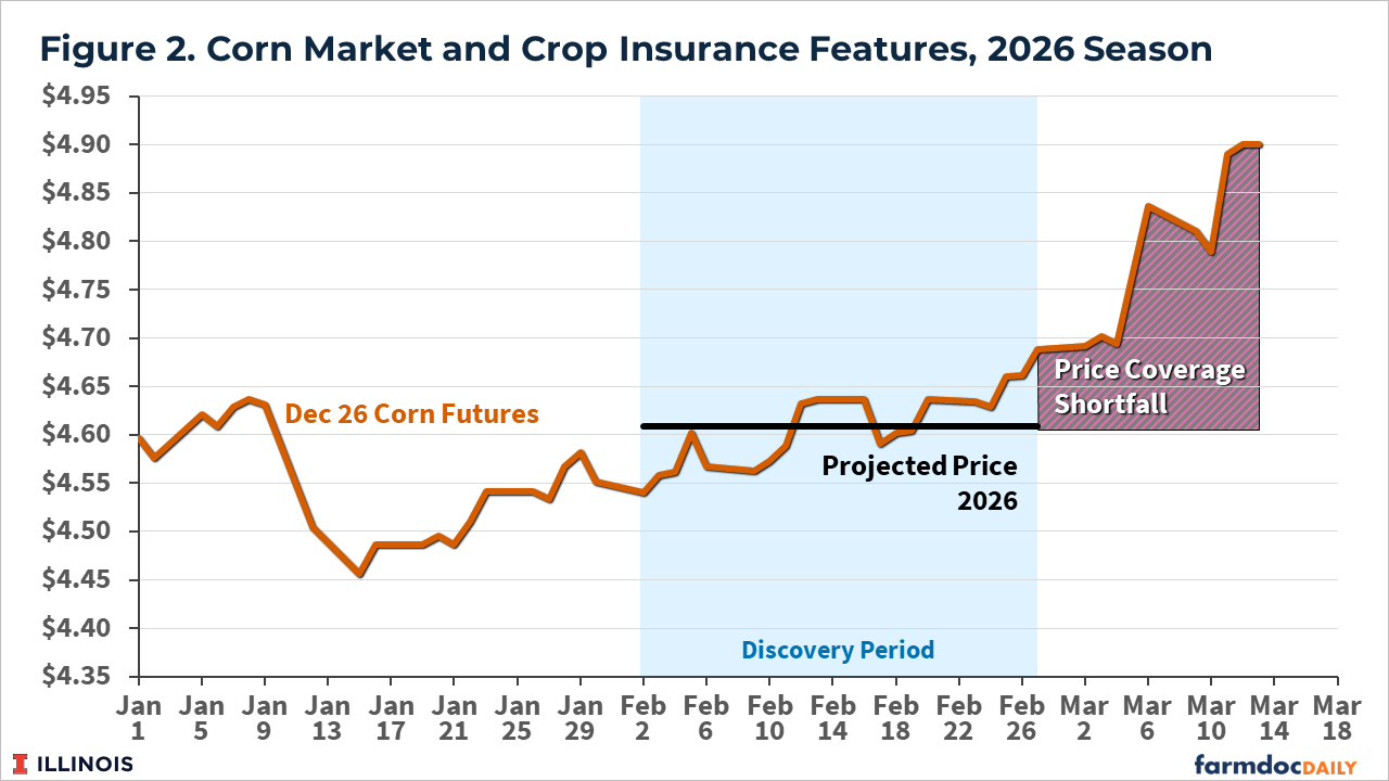 Line chart of December 2026 corn futures prices from January to mid-March. Prices start near $4.60, dip to about $4.46 in mid-January, and average around $4.61 during the February discovery period, which sets the projected insurance price. Prices then rise sharply above the projected price in March to nearly $4.90, creating a “price coverage shortfall” area where insurance protection is below market prices.