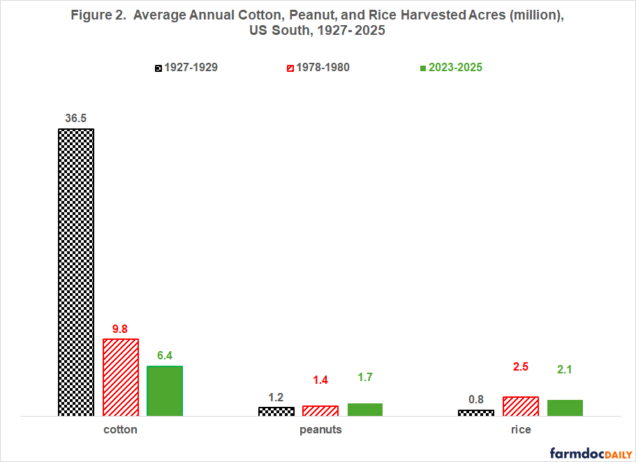 Bar chart showing average annual harvested acres of cotton, peanuts, and rice in the U.S. South for three periods. Cotton acreage declined sharply from 36.5 million acres in 1927–1929 to 9.8 million in 1978–1980 and 6.4 million in 2023–2025. Peanut acreage increased modestly from 1.2 to 1.7 million acres, while rice acreage rose from 0.8 to 2.1 million acres over the same periods.