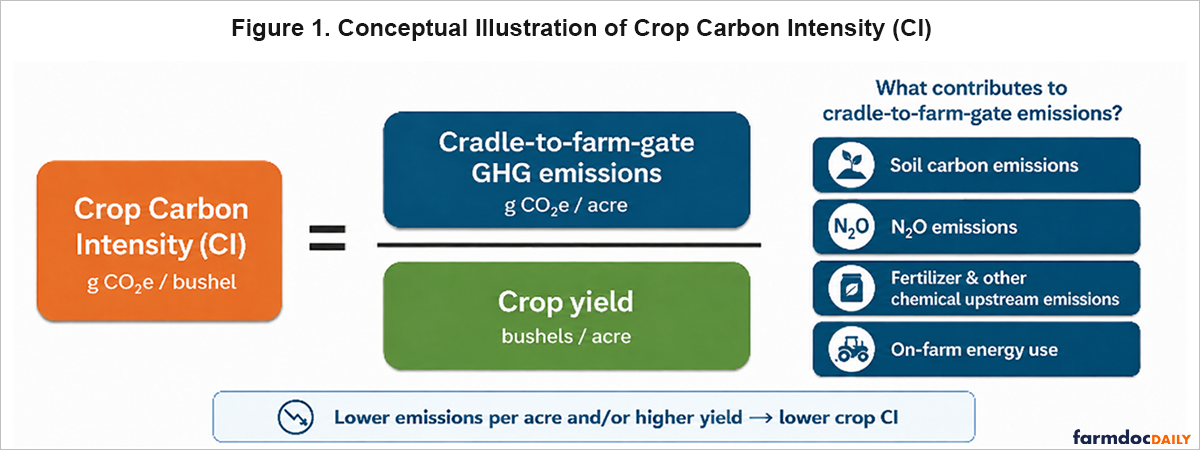 Diagram showing crop carbon intensity (g CO₂e/bushel) as cradle-to-farm-gate greenhouse gas emissions per acre divided by crop yield (bushels/acre). Emission sources include soil carbon, N₂O, fertilizer and chemical production, and on-farm energy use; lower emissions or higher yields reduce carbon intensity.