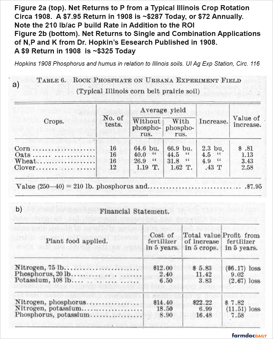 Two historical tables from Hopkins (1908) summarizing fertilizer economics. Top: phosphorus application increased yields of corn, oats, wheat, and clover, producing a net return of $7.95 per acre from a 210-lb phosphorus application. Bottom: financial comparison of nitrogen (N), phosphorus (P), potassium (K), and combined fertilizer applications over five years, showing phosphorus alone and phosphorus-containing combinations generated positive profits, whereas nitrogen or potassium alone resulted in losses.