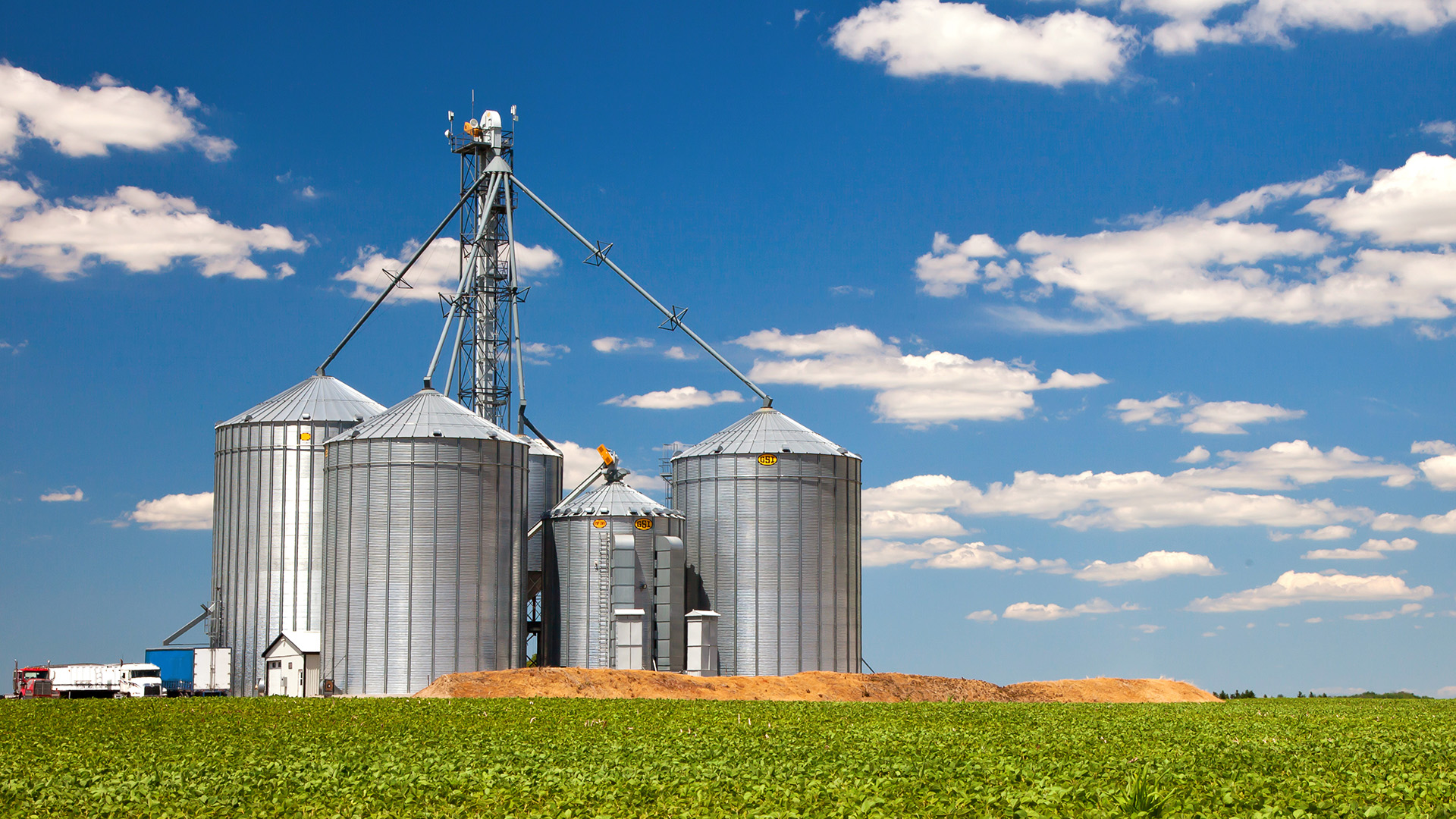 Farm tin silos storage towers in greenw crops view