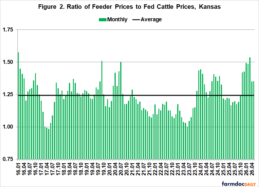 Bar chart showing the monthly ratio of feeder cattle prices to fed cattle prices in Kansas from January 2016 through April 2026. A horizontal black line marks the long-term average ratio of approximately 1.24.