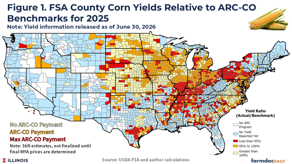 A U.S. county map shows 2025 FSA corn yields relative to ARC-CO benchmarks using five categories: no program, no yield reported, less than 95% of benchmark, 95%–109%, and greater than 109%. Counties with yields below 95% (red) are concentrated across the eastern Corn Belt and parts of the Mississippi Delta, while yields above 109% (light yellow) are more common in the central Plains and western Corn Belt. The map indicates ARC-CO payment eligibility is concentrated where yields fell well below benchmark levels.