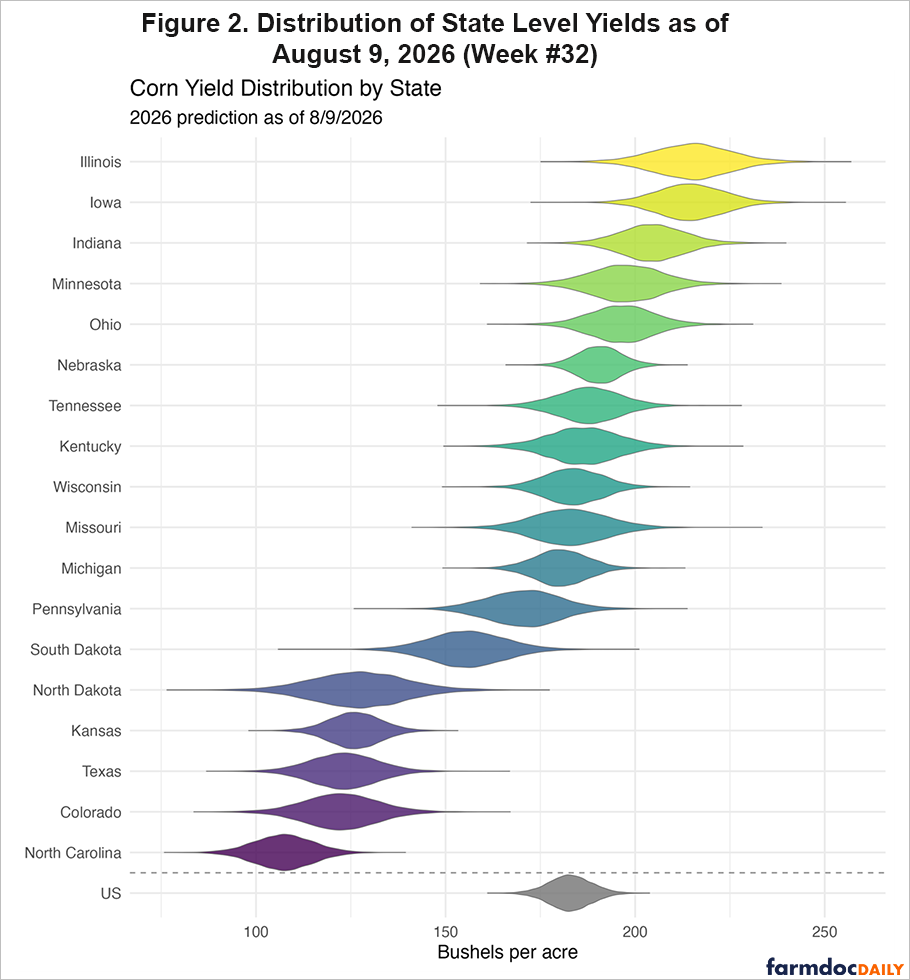 Predicted 2026 corn yield distributions by state as of August 9. Illinois and Iowa have the highest expected yields, while North Carolina, Colorado, Texas, Kansas, and North Dakota are among the lowest.