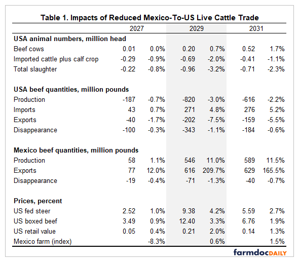 - Estimated impacts of reduced Mexico-to-US live cattle trade in 2027, 2029, and 2031. It reports changes in US animal numbers, US beef quantities, Mexico beef quantities, and prices; US imports and Mexico exports generally increase, while US production and total slaughter decline.
